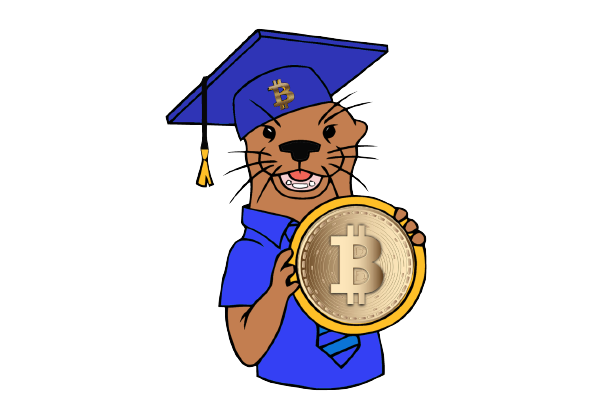 Bitcoin Otter Logo